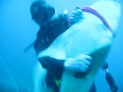 Shark Tales 2-27-10 027 001_0002.jpg