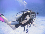 CaymanDiver1_copy color corrected.jpg
