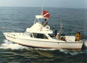 Tiger Shark 1986.JPG