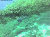Deep Hole Cam 03032010.jpg