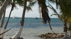 20160527_083848.jpg