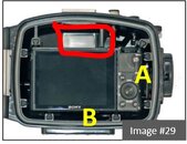 Capture2.JPG