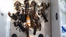 20160730_124828.jpg