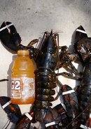 20160730_124855.jpg