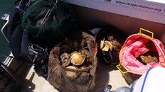 20160803_143049.jpg 20160803_143049.jpg