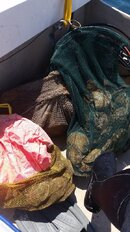 20160803_121649.jpg