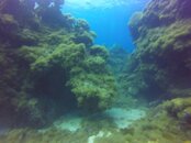 GOPR3766_1468789205194_high.JPG