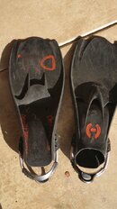 20160906_173049.jpg
