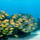 GOPR0175.jpg