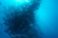 DSC09679.JPG