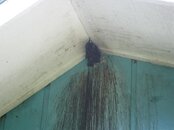 Roatan-047.JPG