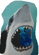 shark.gif