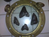 IMG00117.jpg