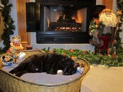 IMG_1856.jpg