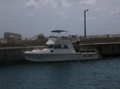 PICT0157.jpg