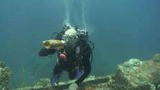 TRUK_LAGOON_07_401.JPG