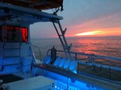 Capt View.jpg