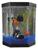 drt-fishtank1.jpg