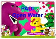barney-and-friends copy.jpg