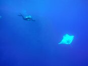 GOPR0098.MP4_snapshot_11.46_[2016.08.21_15.55.21] (1).jpg