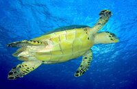 IMG_0991.jpg