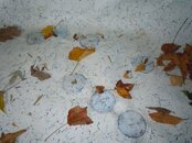 Holes in the Pool.jpg