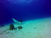 IMG_1286.JPG