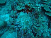 GOPR3058.JPG