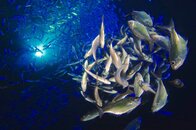 IMG_5403.jpg