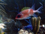 P1050004-1_edited-1 (Medium).JPG