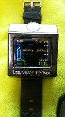 Lynx1.jpg