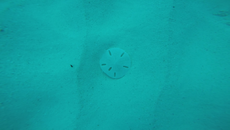 vlcsnap-2017-01-18-00h34m58s366.png