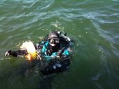 IMG_0336.jpg