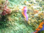 CDM 074.jpg