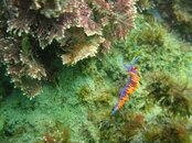 CDM 091.jpg