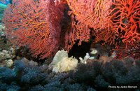 PICT0131.jpg
