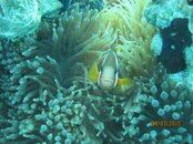 IMG_0376.jpg
