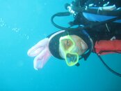 IMG_4936.jpg