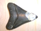 167.jpg