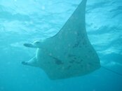 IMG_0089.jpg