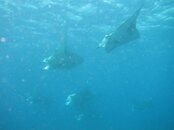 IMG_0094.jpg