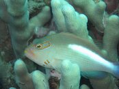 IMG_0149.jpg