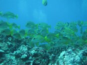IMG_0495.jpg