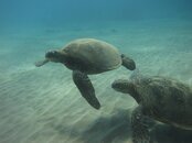 IMG_0519.jpg
