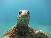 IMG_0522.jpg