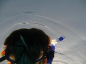 IMG_1810.jpg