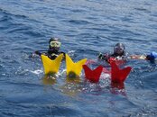 FF boat.jpg