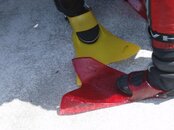 FF Feet.jpg