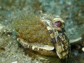 P4186218_edited-1.jpg
