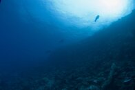 _MG_8125 2.jpg